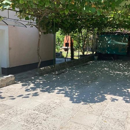 Apartma Mari Lägenhet Lucija Exteriör bild